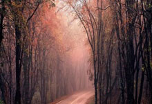 开云APP-阿尔希拉尔防守体系升级,迎接关键战