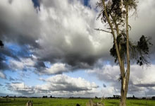 开云体育app-莱万特客场逆袭：悬崖边的绝地反击