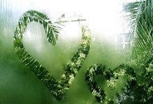 开云体育登录-塔斯马尼亚联外援训练成果显著，力拼强队