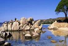 开云APP-阿尔希拉尔防守体系升级，迎接关键战