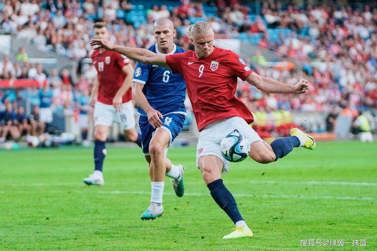 开云体育中国-瑞士壮举逆转，客场赢得挪威对决的简单介绍