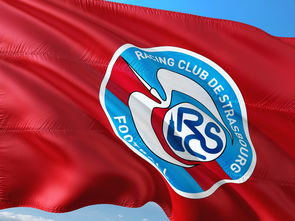 开云APP-帕尔梅拉斯赛前战术会议，细节决定比赛胜负