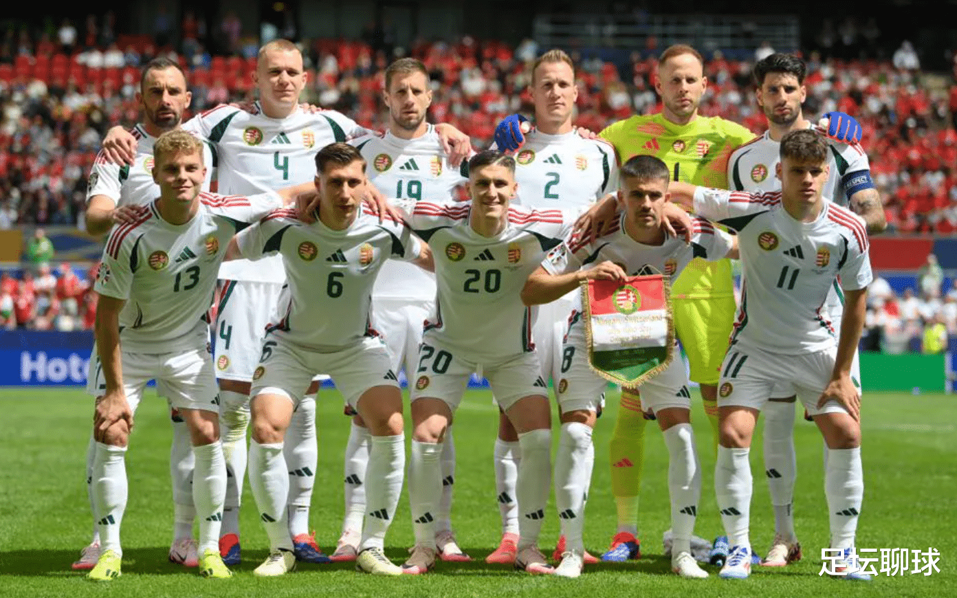 开云体育平台APP-匈牙利喜迎胜利，晋级欧锦赛强