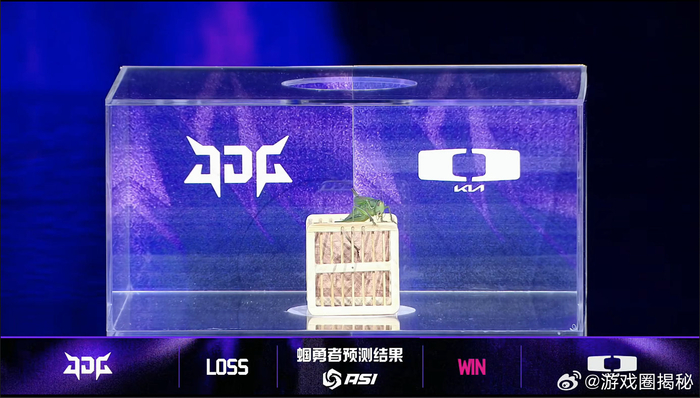 开云体育下载-全球热议!亚洲杯场外八卦引关注的简单介绍