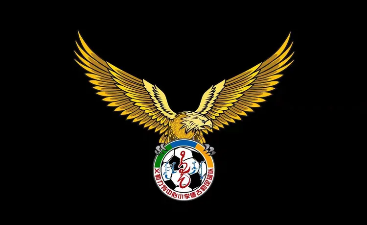 捷克共和国球队迎来黄金时代 捷克共和国球队迎来黄金时代