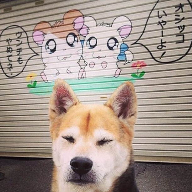 浙江队力克快船,哈利伯顿硬仗之王引领胜利