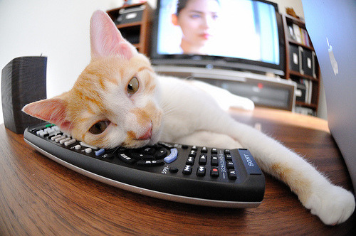 开云平台-厄德高，欧冠决赛之夜，一位中场大师的教科书级艺术