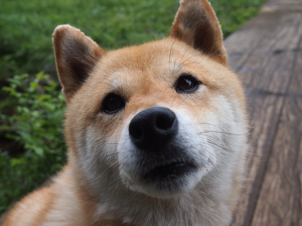 开云体育在线-跨越半球的战术对弈，当乌拉圭铁血遇上尤文图斯，凯塞多如何成为攻防转换的绝对核心？