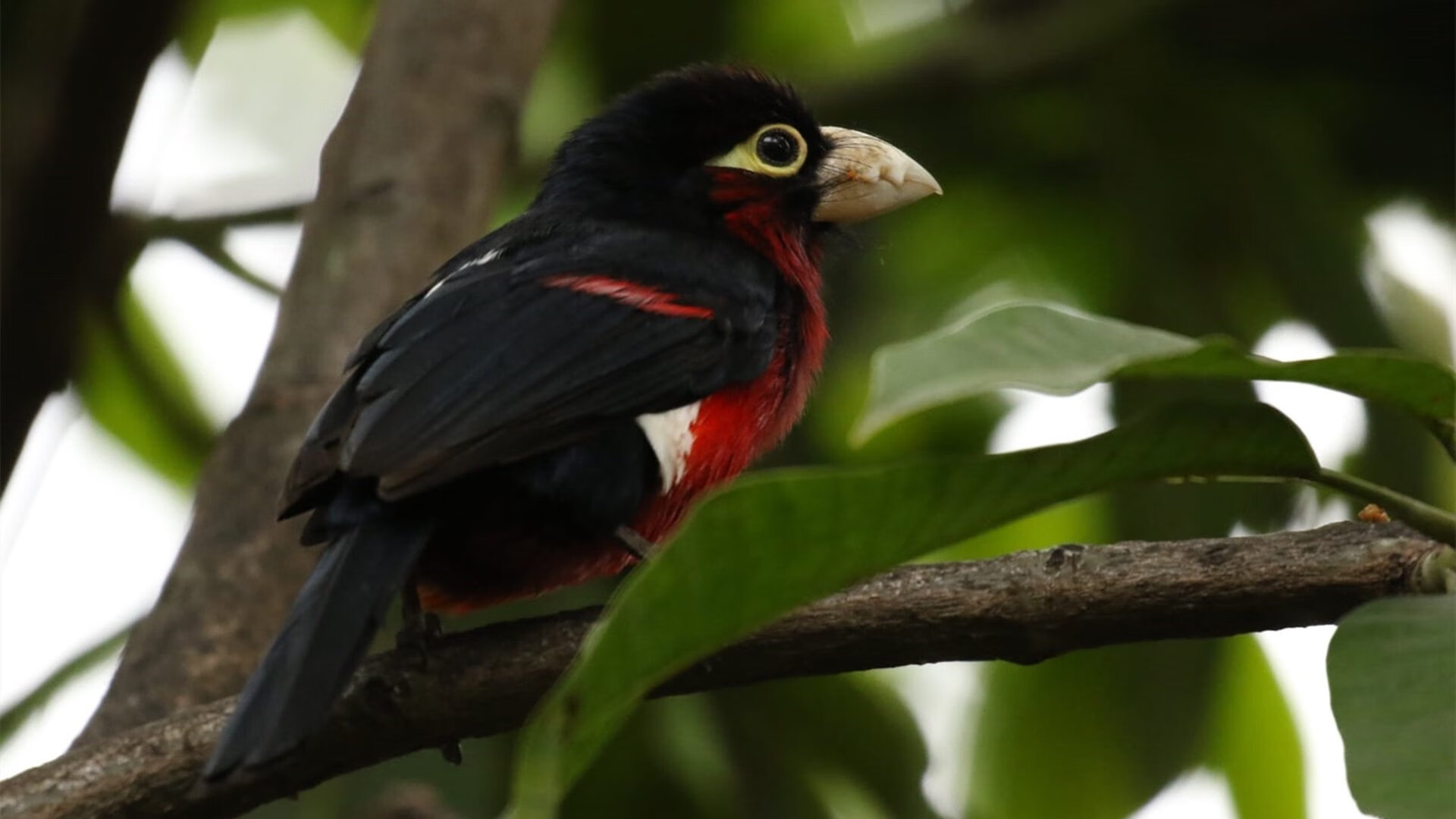 开云体育官方网站-苏亚雷斯完美发挥点燃温布利，英格兰与埃及激战成经典