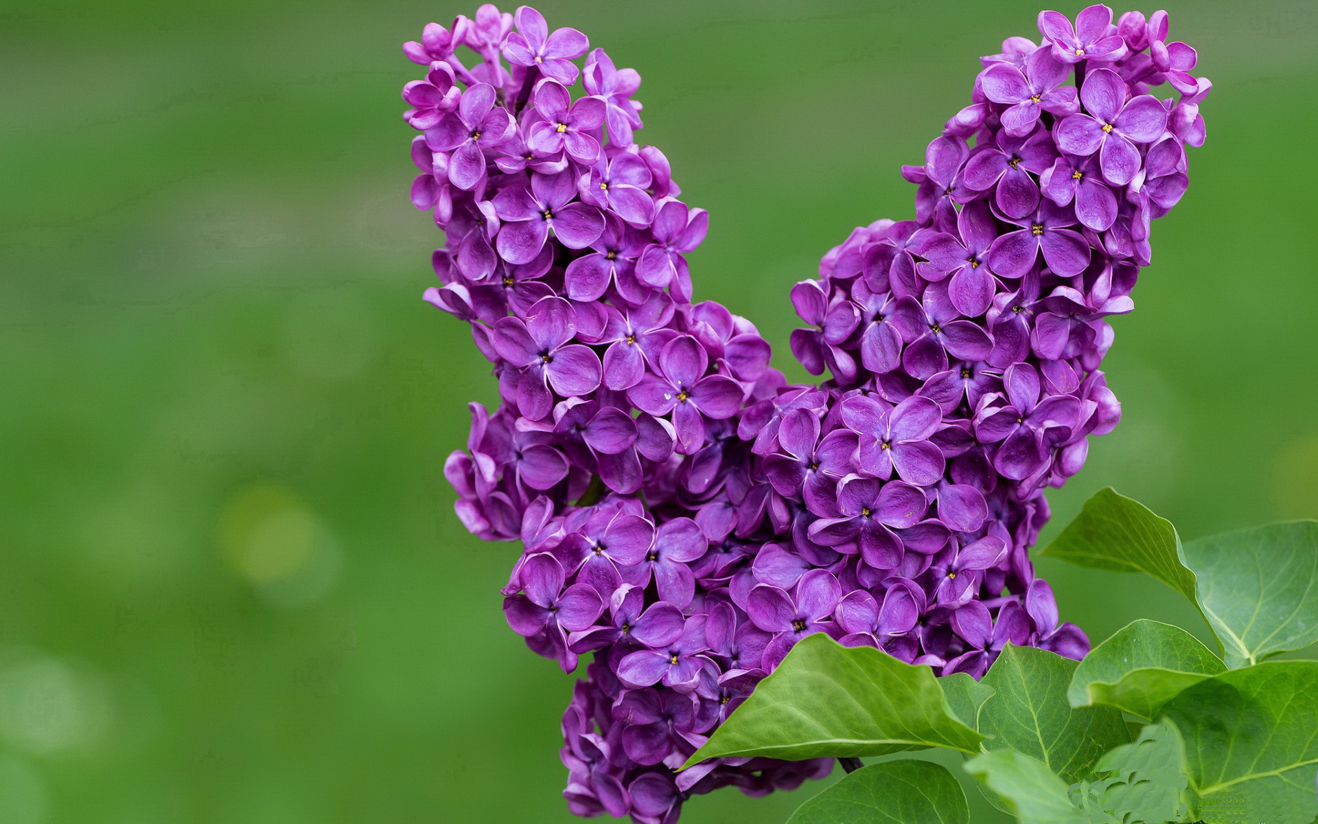 福登穿错球衣？当曼城新星空降米兰与阿森纳的经典对决