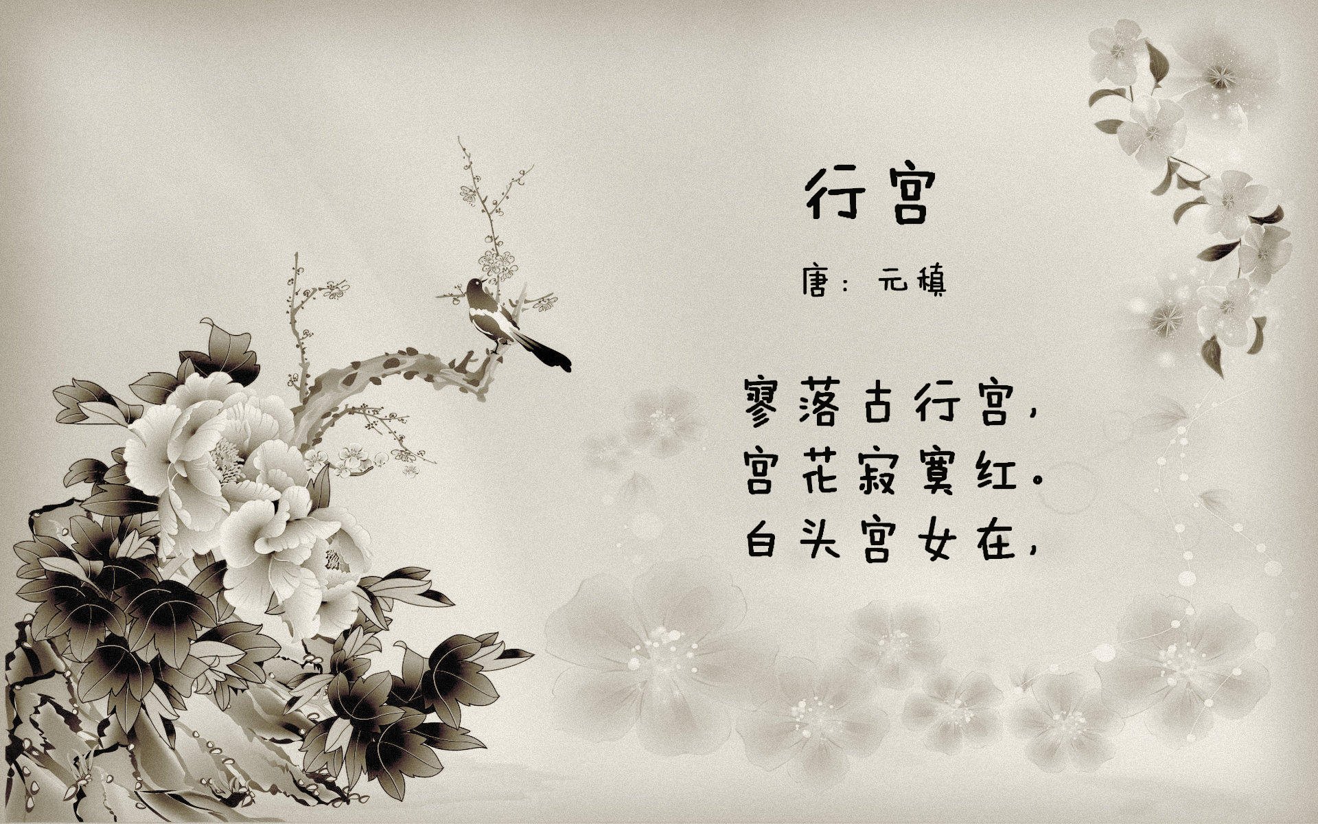 双城记，东契奇点燃赛场，热火连续得分压制国王