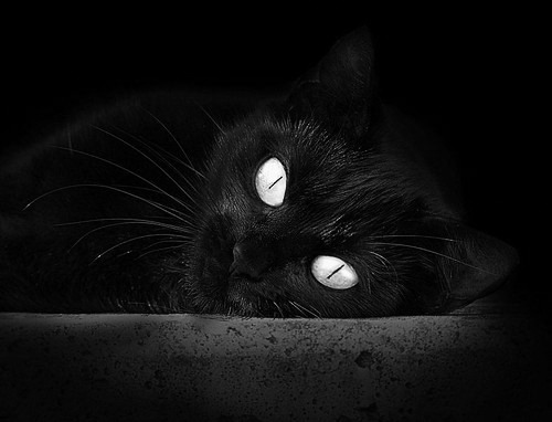 开云体育在线-历史级逆转！约基奇超远三分定乾坤，掘金抢七淘汰快船挺进西决