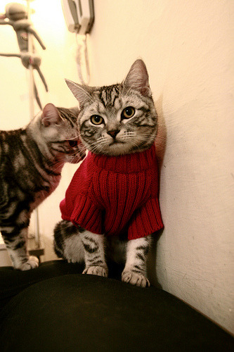 冰与火之歌，库里狂暴三分雨与湖人铁血防守背后的篮球真谛