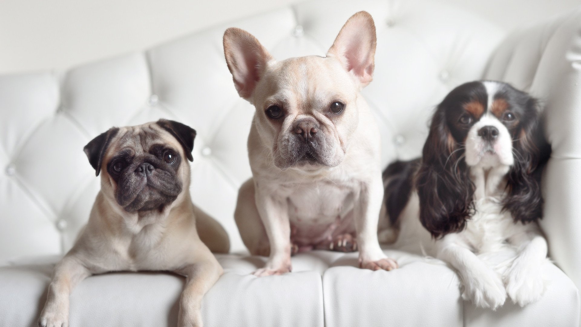 开云体育在线-东方蓝与孟菲斯灰，当辽宁队体系碰撞恩比德的攻防统治