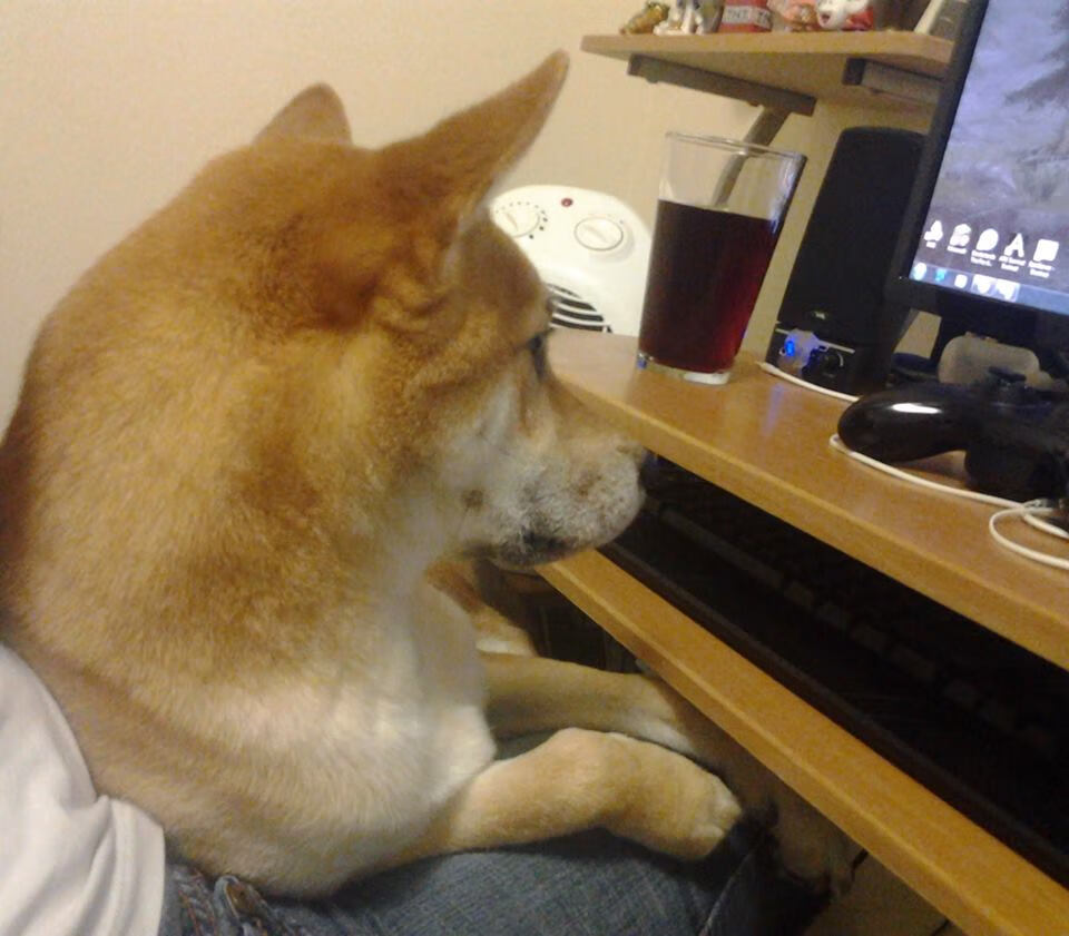 戈贝尔制霸内线难挽狂澜，开拓者全民皆兵客场击溃猛龙