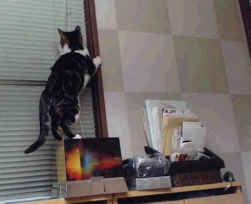 劳塔罗闪耀沙特！关键战突围马赛，国米锋霸存在感拉满